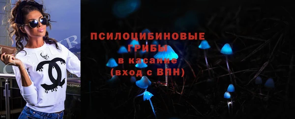 гашик Белокуриха