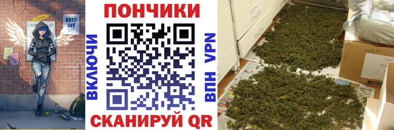 Конопля семена  Калининец 